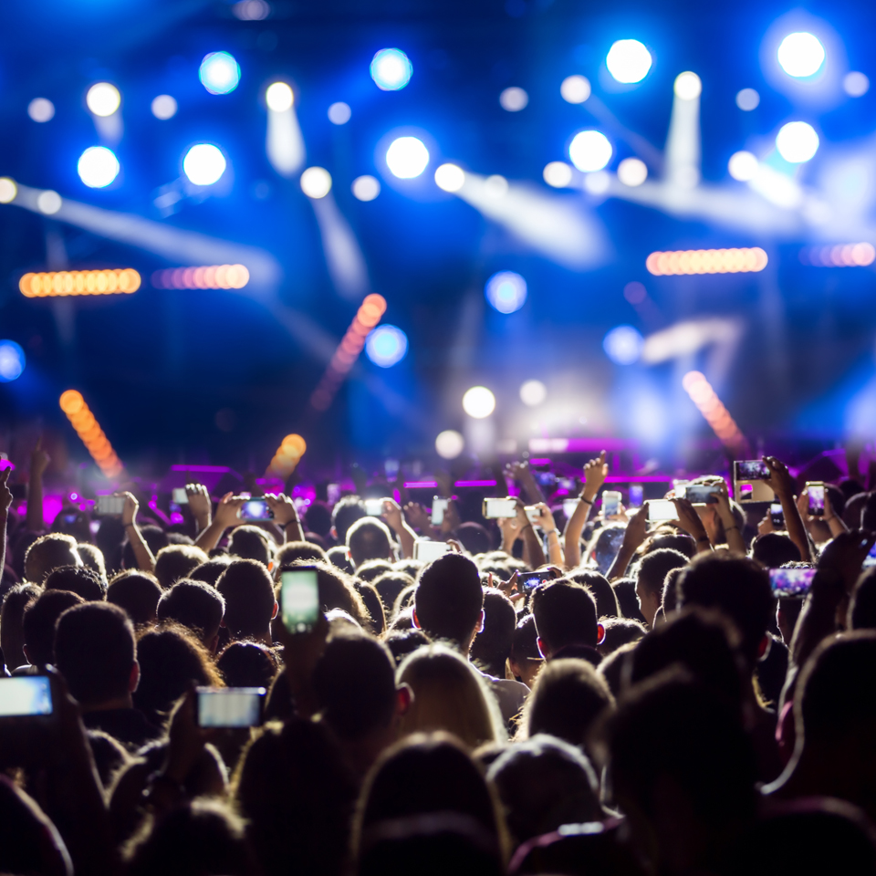 Photograph of a crowd at a gig, recording and photographing the band with their phoness