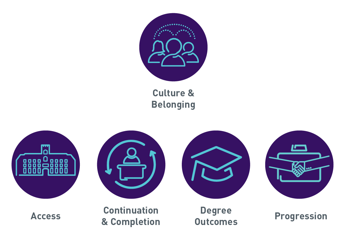 Culture and belonging diagram