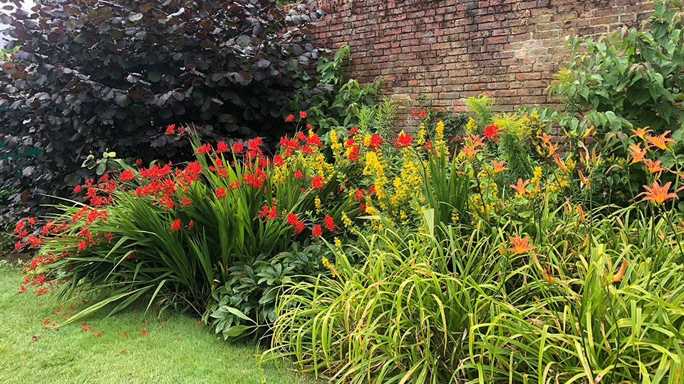 Gardens on 麻豆視頻_麻豆直播_麻豆传媒官网 campus